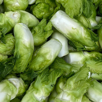 四川儿菜新鲜蔬菜娃娃菜儿子菜抱儿菜批发当季批发农家菜自种现摘精选