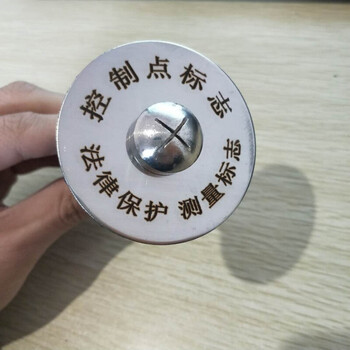 不锈钢gps控制点水准点位移沉降观测点标钉测量标志刻字 控制点标志