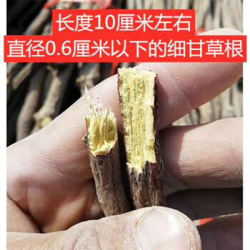 華佗拾遺甘肅定西特級甘草片中藥材生甘草棒無硫新貨養生茶1斤細根野