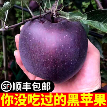云南昭通黑卡苹果新品种黑钻苹果精选礼盒装中秋礼品当季新鲜水果精选