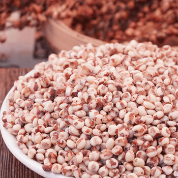 晨臻22年糯高粱米新米红粘高粱仁包粽子粘糕汤圆豆包杂粮粥东北高粱米