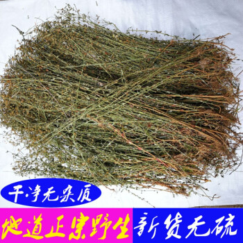 偉博田基黃 地耳草 黃花草雀舌草 新鮮幹品整株田