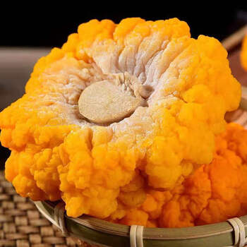 冷链直达云南新鲜野生菌金耳菌黄金耳金木耳胶质新鲜金耳菌胶质 1000