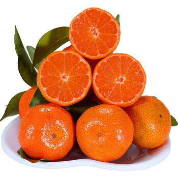 当季冰糖桔砂糖3/5/9斤砂糖橘农家自种蜜桔沙糖蜜整箱 5斤