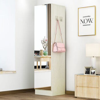 60京选好货挂在衣柜门上的镜子穿衣镜身试衣镜用多功能储物柜小户型