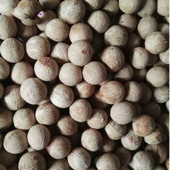 白玉菩提根菩提子白果原果直径11-30mm 菩提根大果原料菩提原籽手串