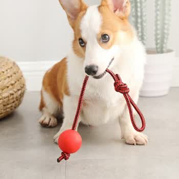 洛瑞夫 宠物狗狗玩具球耐咬大型犬玩具训犬用品狗咬球弹力球金毛玩具