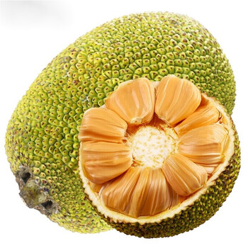 鲜其 红肉菠萝蜜 一整个红心菠罗蜜新鲜水果 10-12斤《超香爆甜品质好