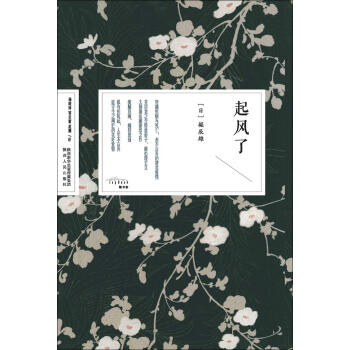 起风了pdf/doc/txt格式电子书下载