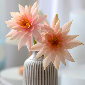 契机睡莲云南基地直发昆明直批花束日常家庭办公室花瓶插花水养鲜切花