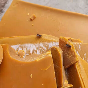 凡佰酷土蜂蜡养蜂诱蜂蜡天然500g唇膏蜡块引诱用招蜂水抛光红木保养