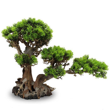 鱼缸造景树形沉木巴西树迎客松定制景观莫斯树水族森林景高度1015厘米