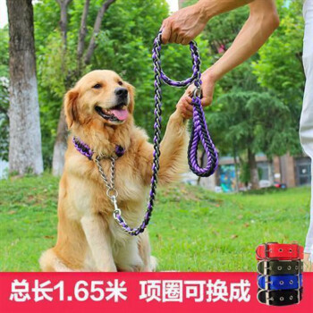 防咬狗鏈子鐵鏈中型犬大型犬遛狗牽引繩拉布拉多薩摩耶狗繩子紫黑牽引