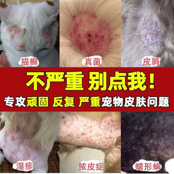 猫藓专用治疗狗狗皮肤病廯癣湿疹真菌感染皮炎瘙痒药膏止痒外用药 图片价格品牌报价 京东