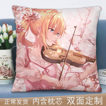 抱枕日系二次元周边正方形枕头套男生款睡觉双面定制生日礼物宫园薰35