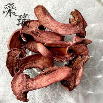 东北特产红蘑松树伞红松蘑肉蘑2020新货250g东北红松蘑