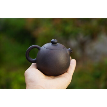 建水紫陶壶茶壶建水紫陶壶石瓢壶壶功夫茶泡茶壶黄煊作品素壶树纹装饰