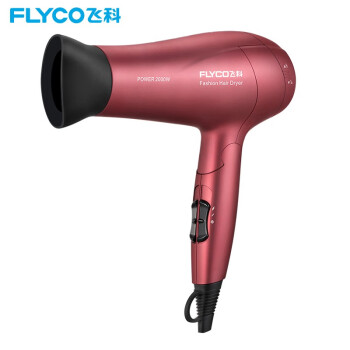 ɿ(FLYCO)紵FH6218ٸɴͲӺ»Я۵ 2000W