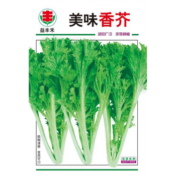 香芥菜种子重庆香菜籽春秋冬四季农家田园盆栽香叶小青菜蔬菜种孑美味