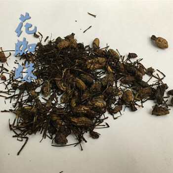 中药材花蜘蛛 斑蜘蛛 蜘蛛 花结蛛 金蛛 50克