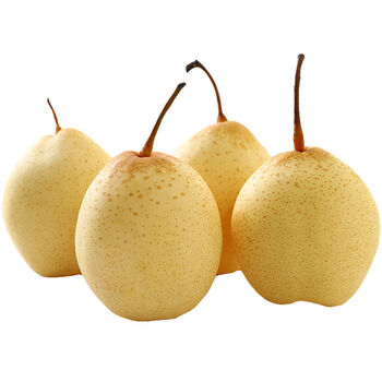精选果蔬河北鸭梨大果新鲜应季水果水晶梨子薄皮整箱批发甜白梨10斤