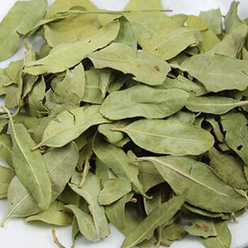 泡水 罗布麻茶 罗布麻茶叶新疆 大叶罗布麻叶【250克】买2份才送杯