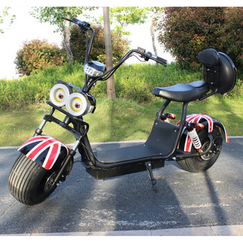 闪速哈雷电动车哈雷车电瓶车两轮便携电动车自行车宽胎大轮电瓶车 a8