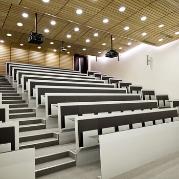 阶梯教室桌椅 大学课桌椅学校礼堂阶梯教室排椅报告厅培训会议室 色板