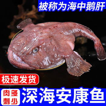 新鮮安康魚超大蛤蟆魚鮟鱇燈籠魚海捕速海魚凍殺好去內臟保留肝肚速凍