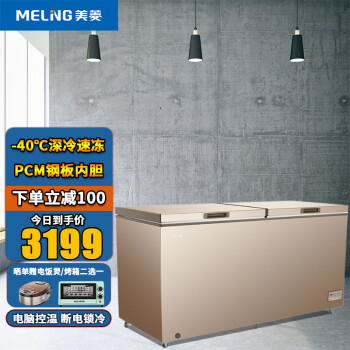 美菱（MeiLing）冰柜商用家用大容量立式426/536冷冻柜冷冻柜BC/BD