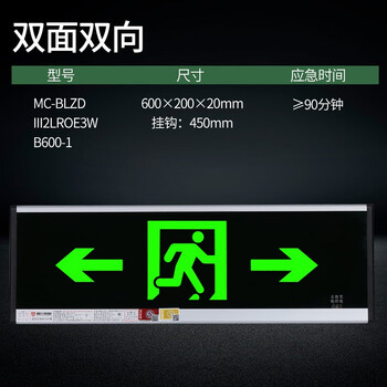 灯大尺寸800×300疏散标志灯600×200消防应急照明灯 600*200双面双向