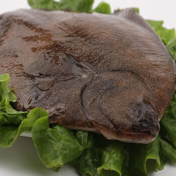 鲽鱼比目鱼鸦片鱼已去膛 灰鲽3斤3条装