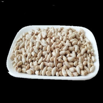棉花籽心脏食用棉籽去皮偏方棉花仔仁山东去壳生的棉花籽仁新特级棉仁