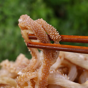 羊肚丝新鲜冷链空运货上门水发羊肚商用冒菜串串火锅店羊肚条羊肚丝1