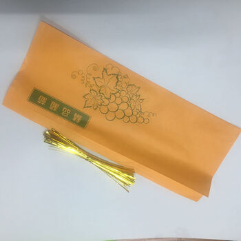 卫亮晴王葡萄包装纸袋阳光玫瑰套袋提子外包装礼品袋精品袋专用包装袋