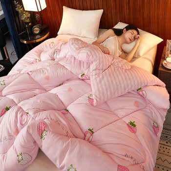 莱子家纺10斤被子冬被芯加厚保暖单人学生宿舍空调春