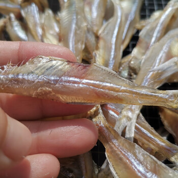 海燕鱼干海南淡干水晶鱼干海鲜干货250克