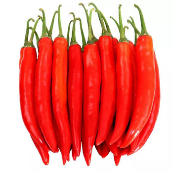 京地达瑃蔻睿美人椒辣椒新鲜红辣椒微辣红色辣椒泡椒 1斤偿鲜装 红