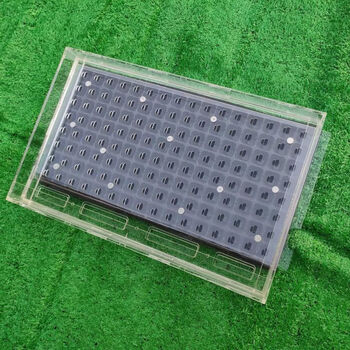 育苗盘播种器蔬菜白菜甘蓝菜花播种神器点播机农用点播器芹菜 50 西