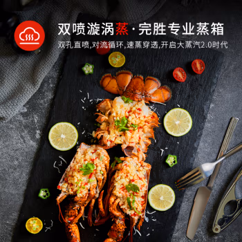 解疑点评：大厨DB610D电烤箱功能怎么样，测评优缺点