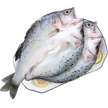 开背三去海鲈鱼鲈鱼(去鳞去鳃去内脏)新鲜活冻鱼类生鲜 海鲜水产七星