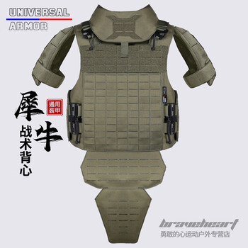 UA通用装甲犀牛战术背心绿色俄重甲多功能作战马甲防弹防刺背衣UTA 野牛背心(套餐联系客服)【图片 价格 品牌 报价】-京东