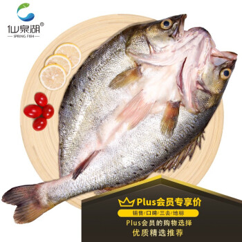 仙泉湖 三去白蕉海鲈鱼净膛500~600g珠海特产烧烤食材生鲜 PLUS会员店