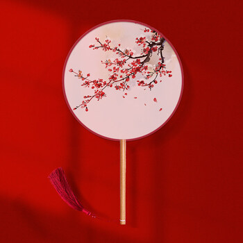 圆扇古风半透长柄团扇儿童扇子夏舞蹈女中国风汉服旗袍古装刺绣小桃花