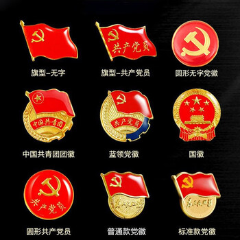 &标准型党徽中国共青团团徽胸章胸针别针为人民服务党徽党员徽章