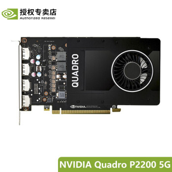 ӢΰNVIDIA T600 T1000  RTX A2000 A4000/5000רҵͼԿ NVIDIA P2200 5Gװ)