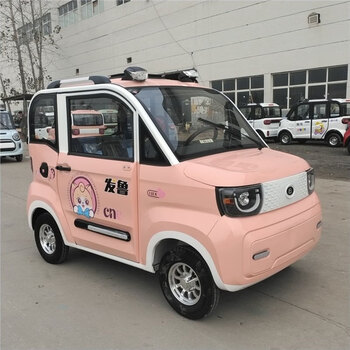 英诺普新款冰淇淋两门四座电动四轮车家用四轮车接送孩子老人代步可