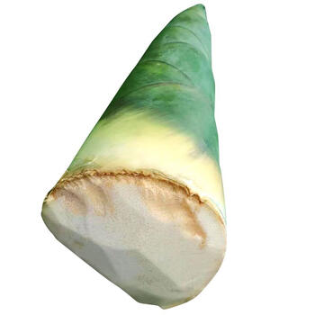 竹笋新鲜麻竹笋甜笋四川大头笋绿壳笋四季笋时令蔬菜九斤 4500g