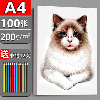 荷兰白卡纸厚硬美术绘画专用白色卡纸绘图马克笔手绘硬卡纸学生儿童手
