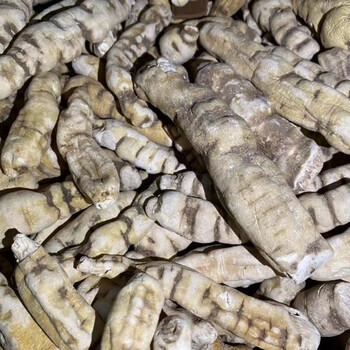 龙鞭参阳鞭参:云南苗家腾冲特产草泡酒料泡水煲汤泡酒 龙鞭参500克【1